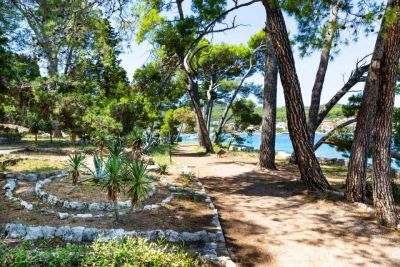 Slika otok-ugljan-preko-cijena-price4.jpg 1